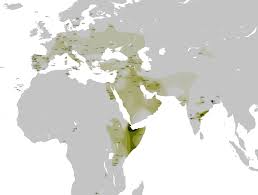We did not find results for: Haplogroup T M184 Wikipedia