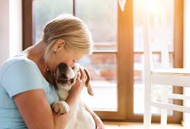 1,5 jahre alt und ein sensibler, freundlicher und umgänglicher junger hundemann. Verhalten Alter Hunde Anzeichen Und 6 Tipps Fur Den Alltag Tractive Blog