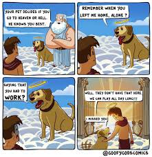 Dog Spelled Backwards Is Funny Comics Dog Heaven Funny Pictures