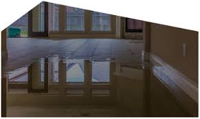 Check spelling or type a new query. Revive Restoration Inc 24 7 Fire Water Mold Remediation
