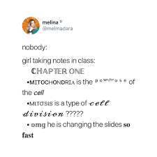 Nobody Memes Literally No One Nobody Tweets Nobody Funny Trending Memes Memes Funny Tweets Funny Memes Viral Mem Memes Quotes Funny Tweets Funny Memes