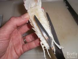 1 kg di cicale di mare. Come Pulire Le Cannocchie Cicale Di Mare Ricetteda