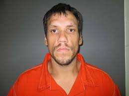 Area Cross Country Runners Compete at State