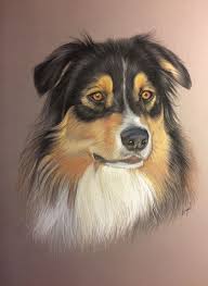 Portrait Au Pastel De Berger Australien D Apres Photo Dessin De Chien Peintures De Chien Art A Theme Chien