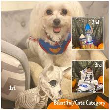 Puna Hongwanji Mission