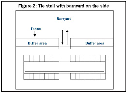 Ben je helemaal hierheen gescrold om over electric barnyard te lezen? Barnyard Basics