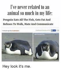 15 Down Right Hilarious Penguin Memes Penguins Funny Memes Animal Memes