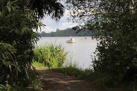 82 annonces d'achat, location et viager. Les Balades La Chapelle Sur Erdre