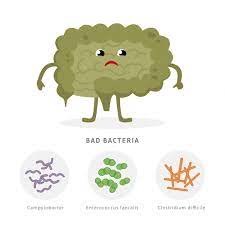 Clostridium is a group of 80+ bacteria that could have potentially harmful effects on your body as they reside in your digestive system (woeller, 2015b). Clostridium Difficile An Intestinal Infection On The Rise Harvard Health Publishing Harvard Health