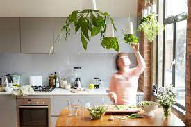 Wir durchsuchen das internet und finden das passendste angebot für dich 30 Phenomenal Indoor Herb Gardens