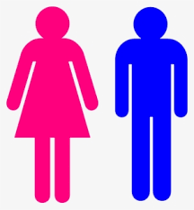 Maybe you would like to learn more about one of these? Male Female Png Images Png Cliparts Free Download On Seekpng