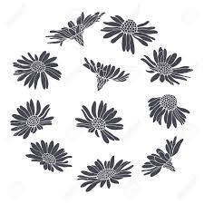 We did not find results for: Daisy Flowers Sketch Hand Draw Vector Floral Pattern For Design On White Background Silhouettes Royalty Free Cliparts Vectors And Stock Illustration Image 112447860
