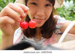 Blur Face Girl Pick Cherry Cherry Stock Photo 659079418