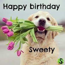 Pin Di Sabrina Strada Su Comply Buon Compleanno Cane Buon Compleanno Auguri Di Buon Compleanno