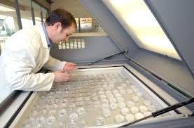 Seed banking practices kew was an early leader in the development of seed banking practices; Alain Elkann Interviews Kew Royal Botanic Gardens Director Richard Deverell