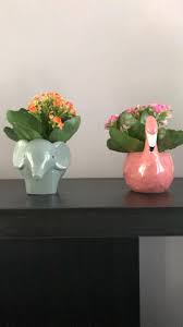 Flamingo Flowers Tesco Best Flower Wallpaper