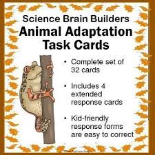 Animal Adaptations Task Cards Set Of 32 Science Brain Builders Animal Adaptations Task Cards Teaching Science