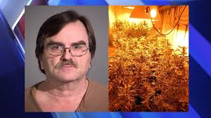 Indianapolis man arrested after police find more than 200 marijuana plants  in basement