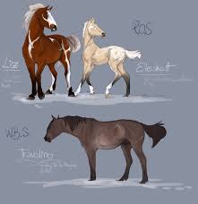 Obertaurer Imports 2013 2 Horse Drawings Animal Drawings Animal Art
