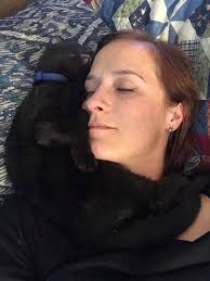 Deceased cat found near BNGC entrance