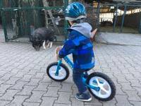 New style step 2 laufrad/direkter hersteller alter 2 laufrad/2021 beliebtes cruzee 2 laufrad. Welches Laufrad Ab 2 Jahren Forum Kleinkind Urbia De