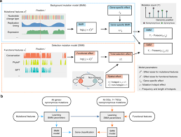 Maybe you would like to learn more about one of these? Detailed Modeling Of Positive Selection Improves Detection Of Cancer Driver Genes Nature Communications
