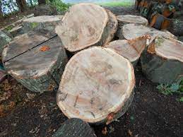 If a tree has been felled, cut, and split, you may need to consider characteristics like the color, the smell, and the look of the grain. Telling The Difference Between White Red Oak Logs Arboristsite Com
