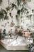 Best Indoor Plants For Living Room