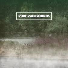 Recorded and produced by orange free sounds. Rain Sound Beach Sky Fall Song Download From Pure Rain Sounds Jiosaavn