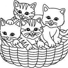 Une sélection de coloriages de chats pour les enfants, crée par hugo l'escargot. Coloriages Sur Les Chats De Toutes Sortes Coloriage Chat Tete A Modeler