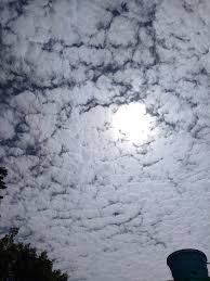 From wikimedia commons, the free media repository. Is This Altostratus Clouds Meteorology