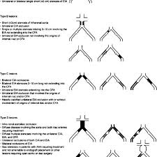 The Tasc Ii Classification Of Aortoiliac Lesions Download Scientific Diagram
