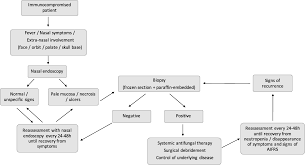 We did not find results for: Impact Of Early Detection Of Acute Invasive Fungal Rhinosinusitis In Immunocompromised Patients Bmc Infectious Diseases Full Text