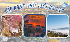 Cập Nhật Thời Tiết Đà Lạt Hôm Nay