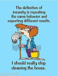 Metal Refrigerator Magnet Insanity Same Behavior Stop Cleaning House Humor In Crafts Handcrafted Clean Funny Memes House Cleaning Humor Cleaning Quotes Funny
