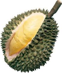 Download now gambar model buah buahan aneka gambar kualitas hd. Mari Mengenal Buah Buahan Tempatan Multimedia In Education Mmp3013