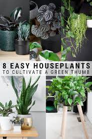 Easy To Take Care Of Houseplants Low Maintenance Indoor Plants Hanging Plants Indoor Plant Decor Low Maintenance Indoor Plants