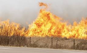 Image result for tbn:XVFRz-6Maj2JLM::www.jolmag.co.za/wildfire/images/Logos/vuvuzela_header.jpg