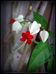 Pin On Pretty