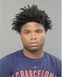 ᐅ Illinois Criminal Records 2009-2025