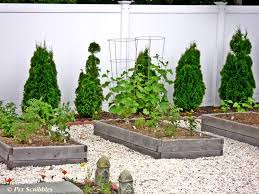 You can even plan out your planting so that you provide four seasons of visual interest, as pictured, in this small garden. How To Build A Raised Garden Bed For Vegetables Garden Sanity By Pet Scribbles