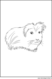 Check spelling or type a new query. Malvorlage Meerschweinchen Coloring And Malvorlagan