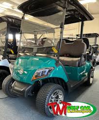 Image result for Green 2021 Fleet