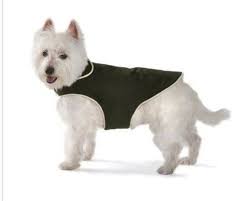 Dog Gone Smart Bed Co Dog Gone Smart Jacket Small Olive Dog Gone Smart Bed Co Http Www Amazon Com Dp B0050idmie Ref Cm Sw R Pet Coats Dog Clothes Dog Coats