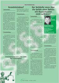 Holzschutz Dhbv Merkblatt Erkennungsmerkmale Des Echten