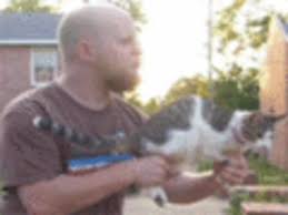 Where on god's green earth did you hear that?cats do shoot laser beams from their eyes. Cat Gun Know Your Meme