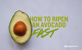 Do You Have An Unripe Avocado That You Want To Dig Into Right Away Waiting For An Avocado To Ripen Is Fr How To Ripen Avocados Avocado Avocado Health Benefits