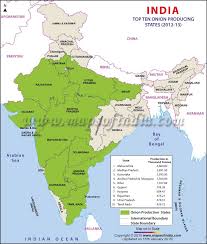Top Ten Onion Producing States Jpg 800 944 India Map Geography Map Forest Map