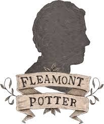 Quem é o pior Potter? : r/harrypotter