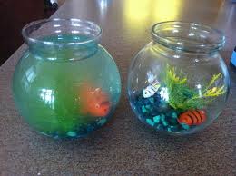 Used Fake Water To Make Fish Bowl Turned Cloudy What Went Wrong Fish Bowl Small Fish Bowl Bowl